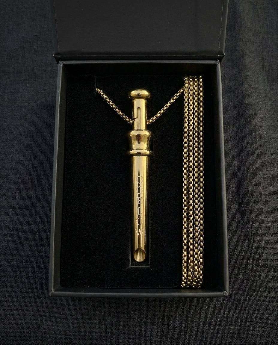 GoBlow Pendant MKII in Gold, in its gift box